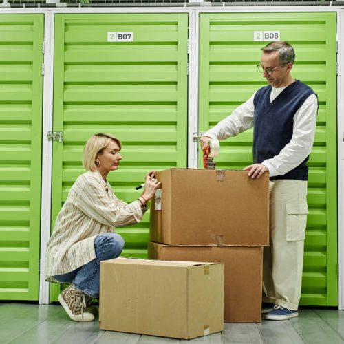 Control de plagas en depósitos: la clave para conservar tus pertenencias